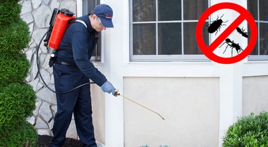 Aydıntepe Bit İlaçlama böcek ilaçlama ve haşere kontrolü — ilaclama-tr.com